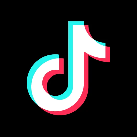 1.000 Followers TikTok REAL